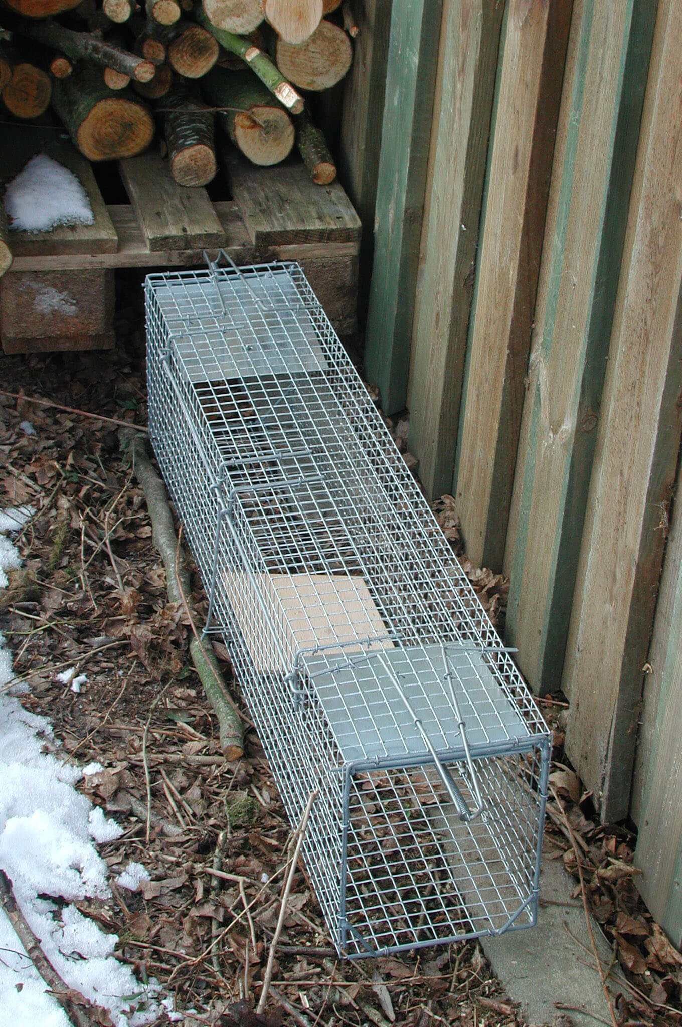 Drahtgitterfalle groß 1500mm